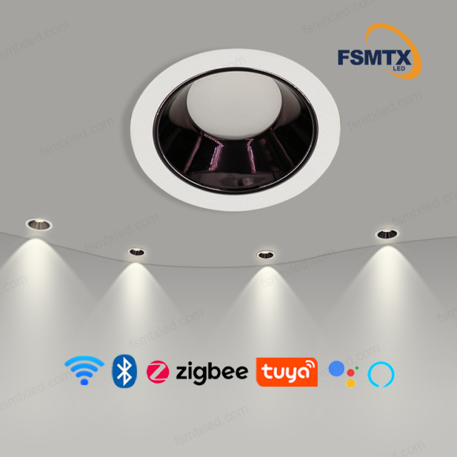 AS-9116 smart control LED Ceiling Downlights Lights