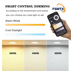 AS-9118 Bluetooth control Recessed Dimmable Downlight
