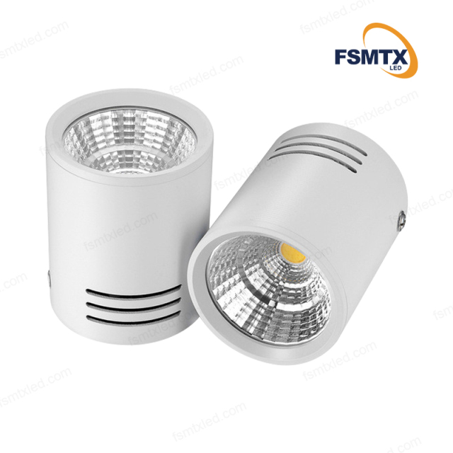 AS-3109 Surface Mounted COB Downlight