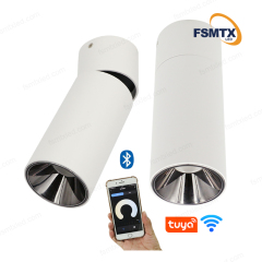 AS-3111 Smart Control Ceiling Rotatable Surface Spotlight