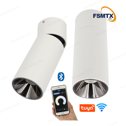 AS-3111 Smart Control Ceiling Rotatable Surface Spotlight