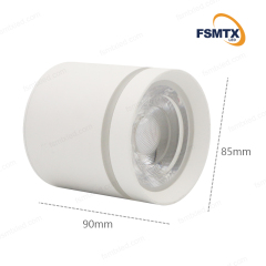 AS-3113 Surface MountedLED Downlight
