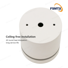 AS-3113 Surface MountedLED Downlight