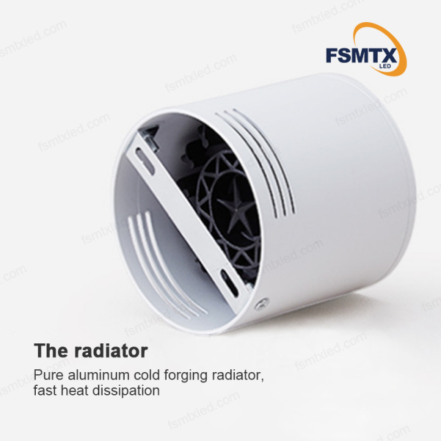 AS-3109 Surface Mounted COB Downlight