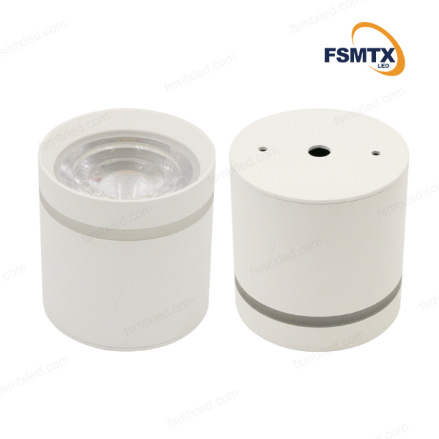 AS-3113 Surface MountedLED Downlight