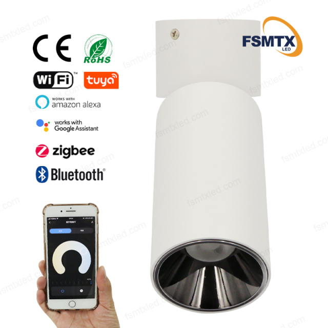 AS-3111 Smart Control Ceiling Rotatable Surface Spotlight