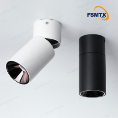 AS-3111 Smart Control Ceiling Rotatable Surface Spotlight