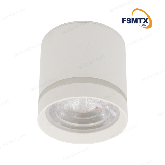 AS-3113 Surface MountedLED Downlight