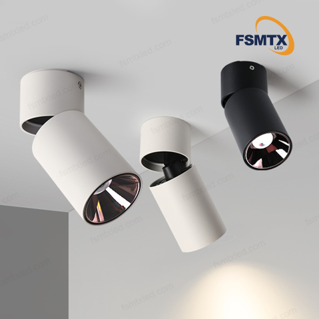 AS-3111 Smart Control Ceiling Rotatable Surface Spotlight
