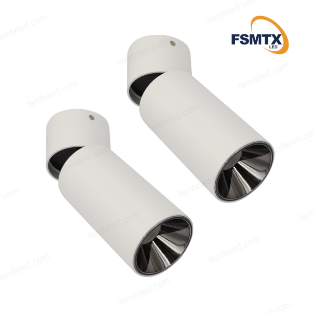 AS-3111 Smart Control Ceiling Rotatable Surface Spotlight