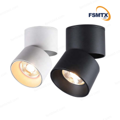 AS-3103 Rotatable Cylinder Spotlight