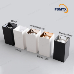 AS-3102 COB Surface Mounted  Spotlight