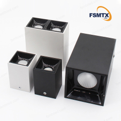 AS-3102 COB Surface Mounted  Spotlight