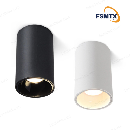 AS-3101 Multi-power selection led Downlight