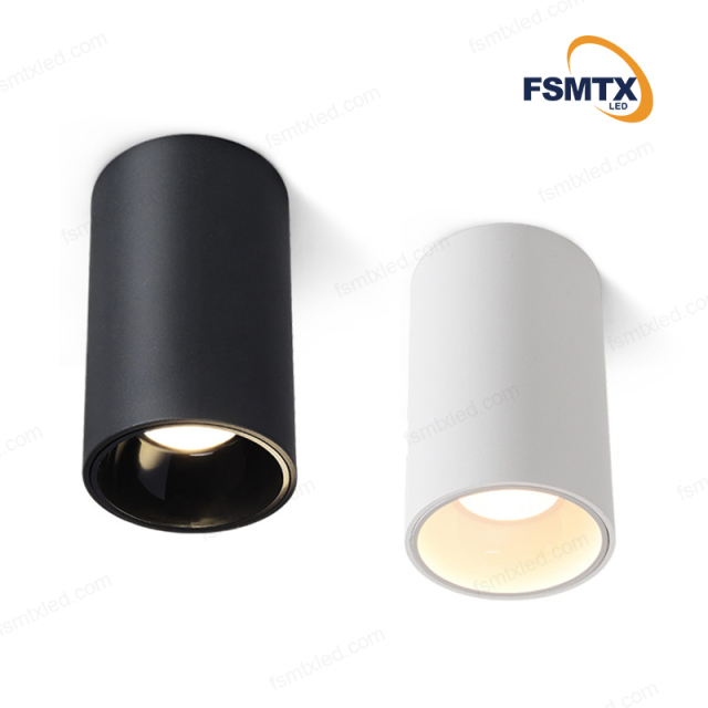 AS-3101 Multi-power selection led Downlight