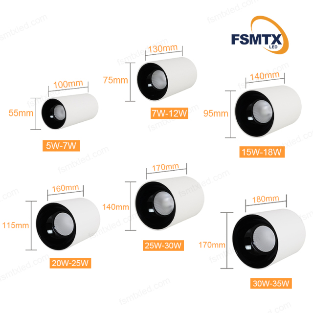 AS-3101 Multi-power selection led Downlight