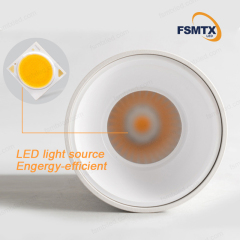 AS-3101 Multi-power selection led Downlight