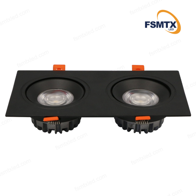 Rectangle Adjustable Downlights