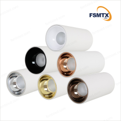 AS-3101 Multi-power selection led Downlight