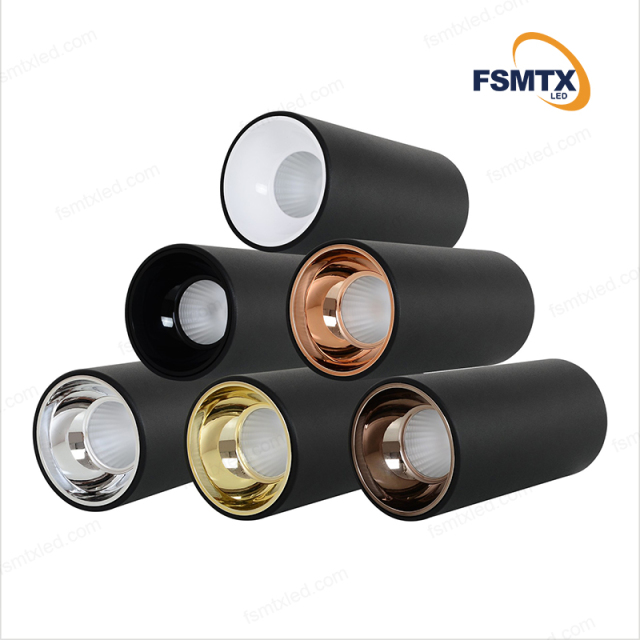 AS-3101 Multi-power selection led Downlight