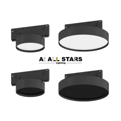 48V 10mm Factory Direct Remote Control Magnetic Round Floodlight