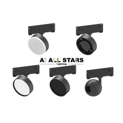 48V 10mm Factory Direct Remote Control Magnetic Round Floodlight