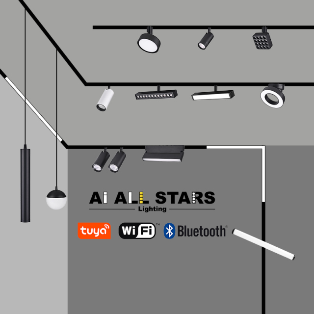 Commercial Customized 220V Magnetic Track Spot Light