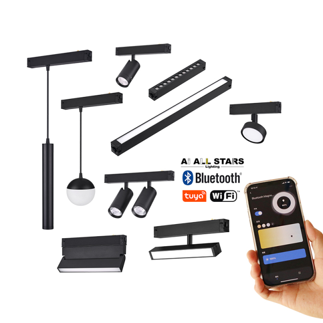 Commercial Customized 220V Magnetic Track Spot Light