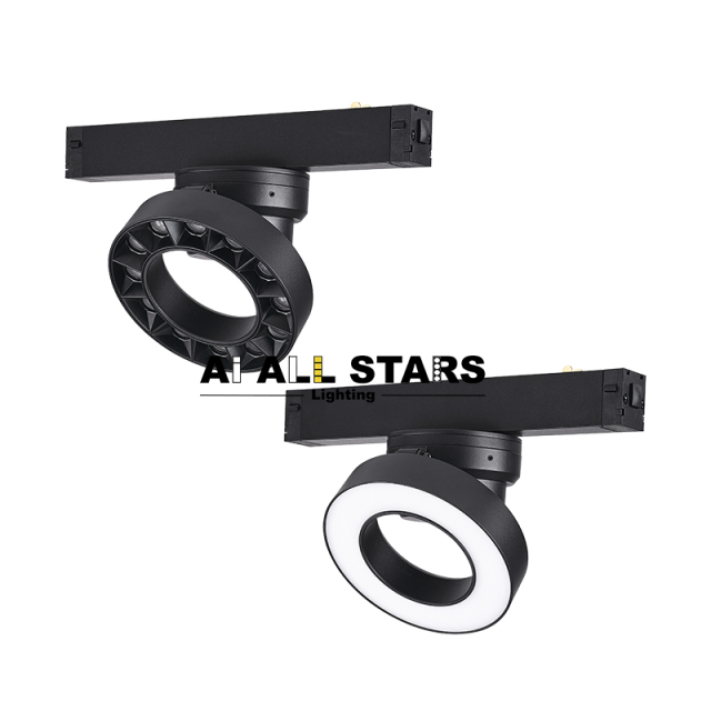 Tuya Control 220V 24M Dimming Magnetic Round Light Wholesale