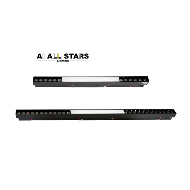 48V Personalized Design Magnetic Linear Combination Light-Series