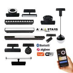 48V Personalized Design Magnetic Linear Combination Light-Series