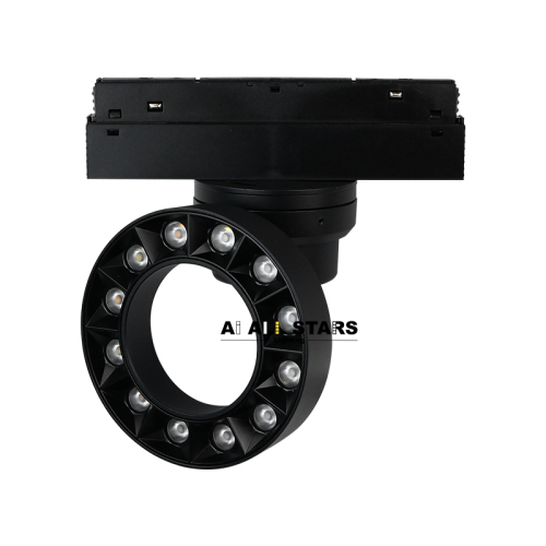 Factory Direct 48V Smart Control Magnetic Round Light