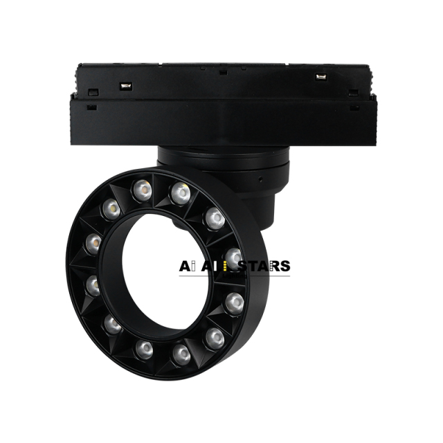 Factory Direct 48V Smart Control Magnetic Round Light