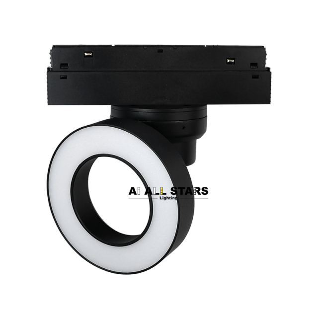 Ceiling 48V Bluetooth Control Magnetic Round Light