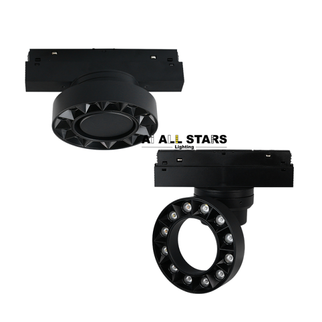 Factory Direct 48V Smart Control Magnetic Round Light