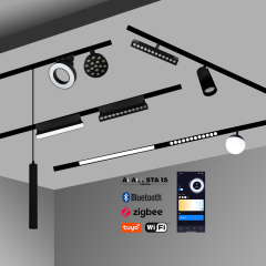 180° Beam Angle 25M 220V Smart Magnetic Round Light