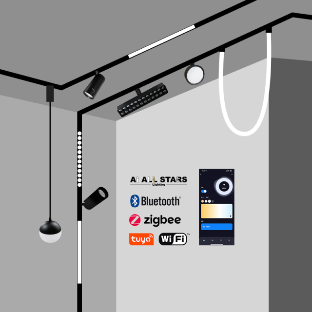 Tuya Control 220V 25M Magnetic Pendant Ball Light