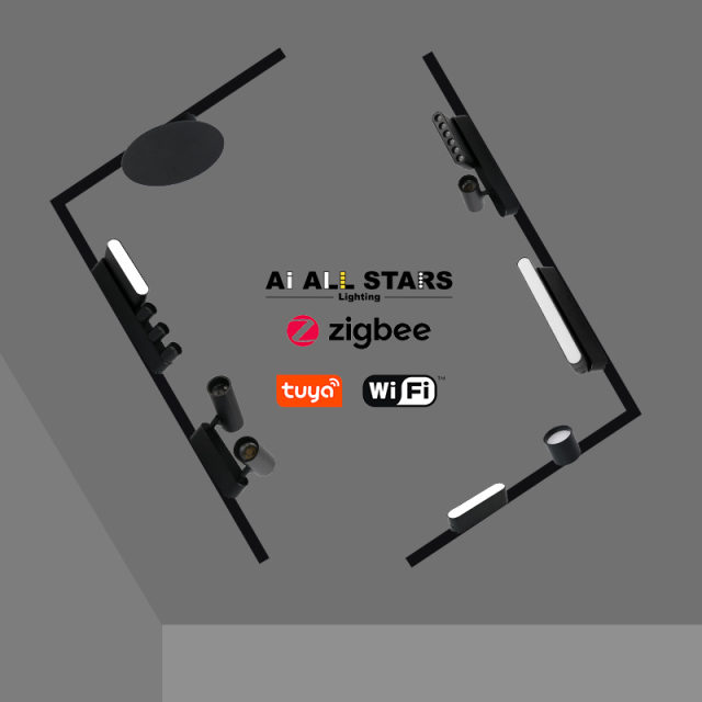 Living Room New Design Woven Magnetic Flood Light.