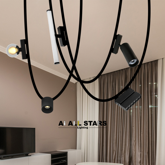 Woven Track Ceiling install Magnetic Round DownLight