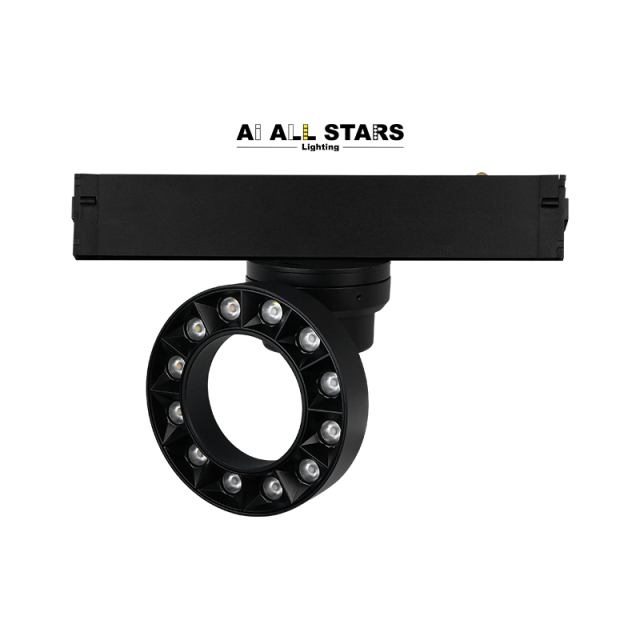 Bluetooth Control 220V Magnetic Round Light Series