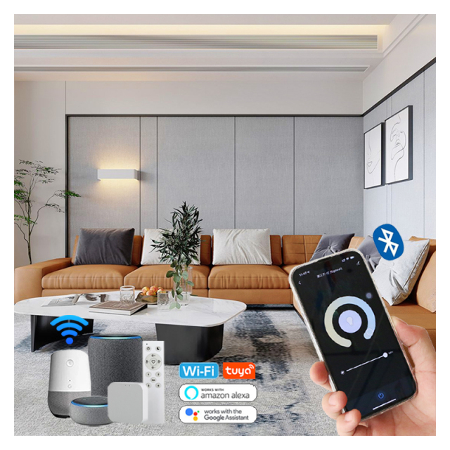 Smart Control 12V 24V LED Light Strip Manufacturer