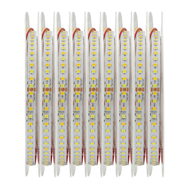 Smart Control 12V 24V LED Light Strip Manufacturer