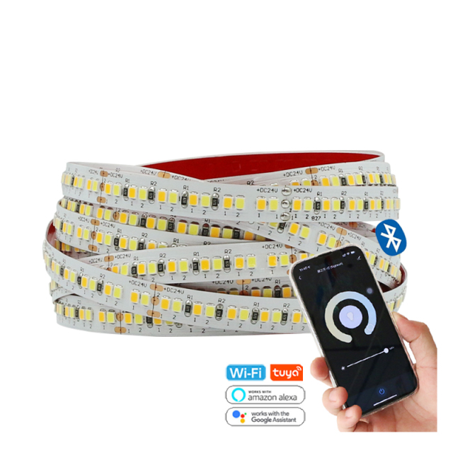 Smart Control 12V 24V LED Light Strip Manufacturer