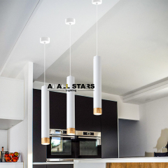 AS-3037 Home Decoration New Design Pendant Downlights