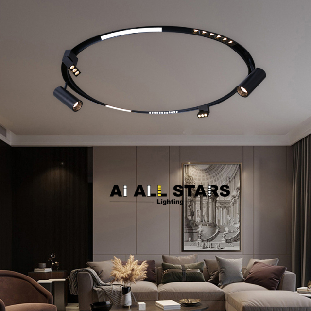 Ceiling Install Customize Circular Magnetic Flood Light