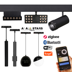 Trust of builders 48V magnetic rail light 