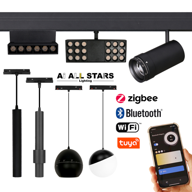 Trust of builders 48V magnetic rail light 