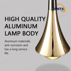 Factory Direct Indoor Decorative Black Pendant Light