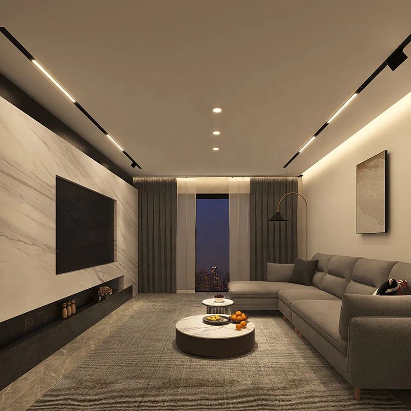 48V Project Magnetic Track Light in Home