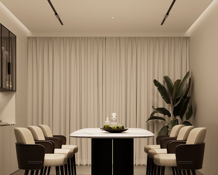 magnetic track light for Minimalist open living